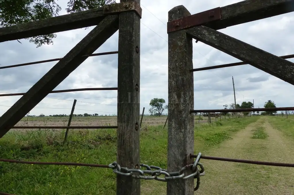 Mercado inmobiliario rural: la brecha cambiaria y el “impuesto a las grandes fortunas” impactan negativamente en el sector