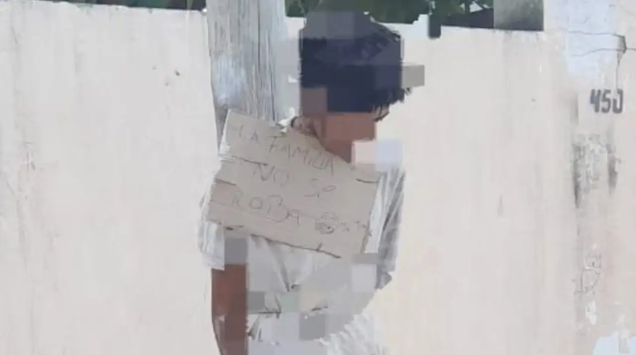 El joven habría entrado a la casa de su cuñada y le robó un reflector.