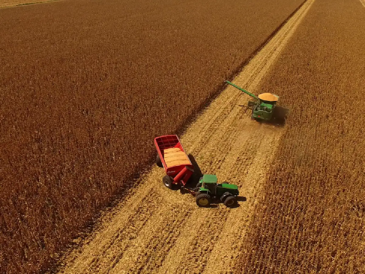 La causa sobre la inconstitucionalidad de las retenciones vuelve a la justicia de Córdoba