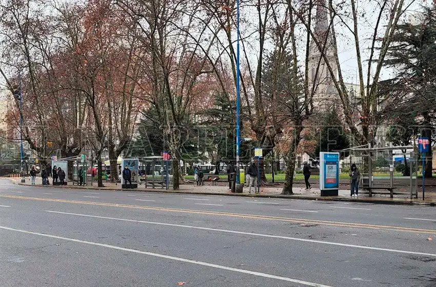 El paro de colectivos impacta en Mar del Plata y en todo el interior del país