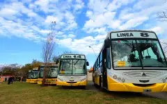 Transporte: En septiembre se incorporarán más unidades