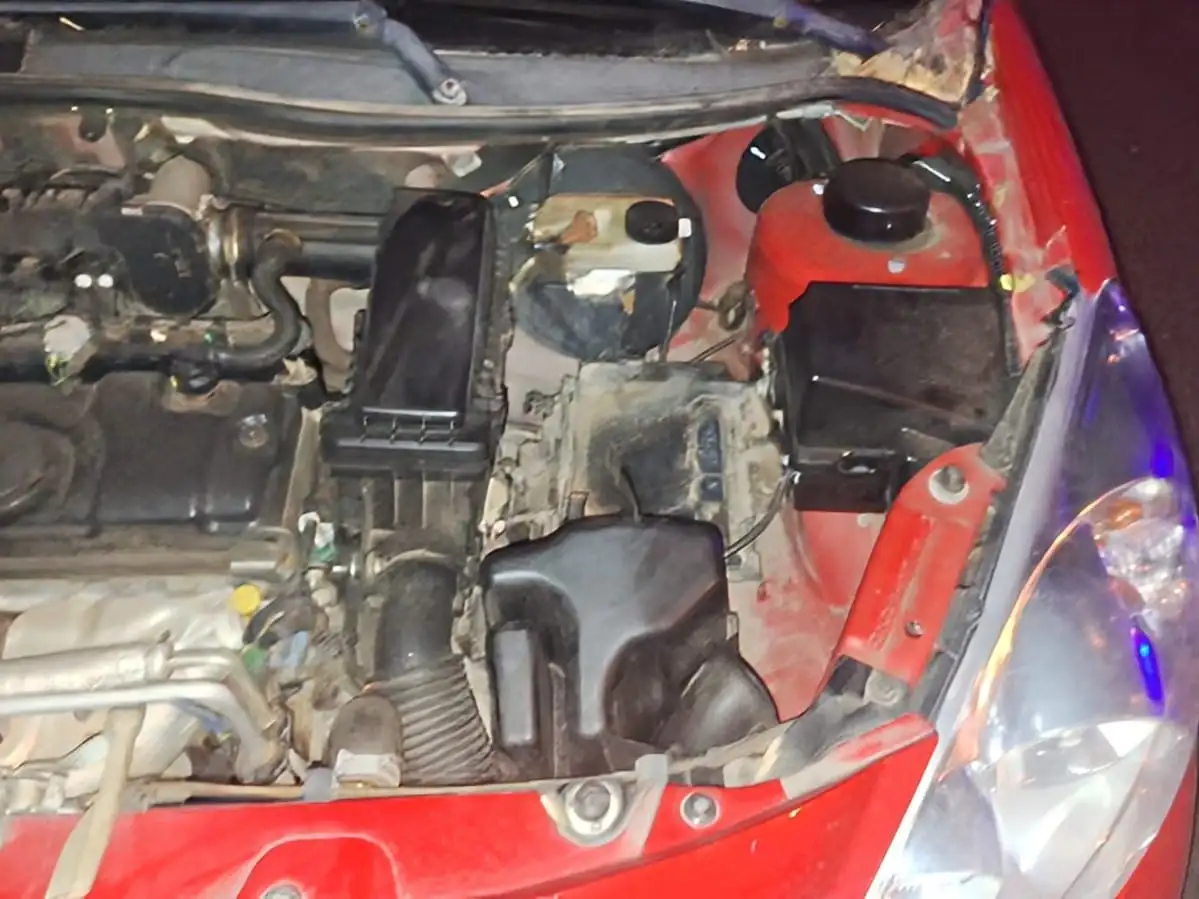 Los imputados habían roto el vidrio trasero de un Peugeot 207.