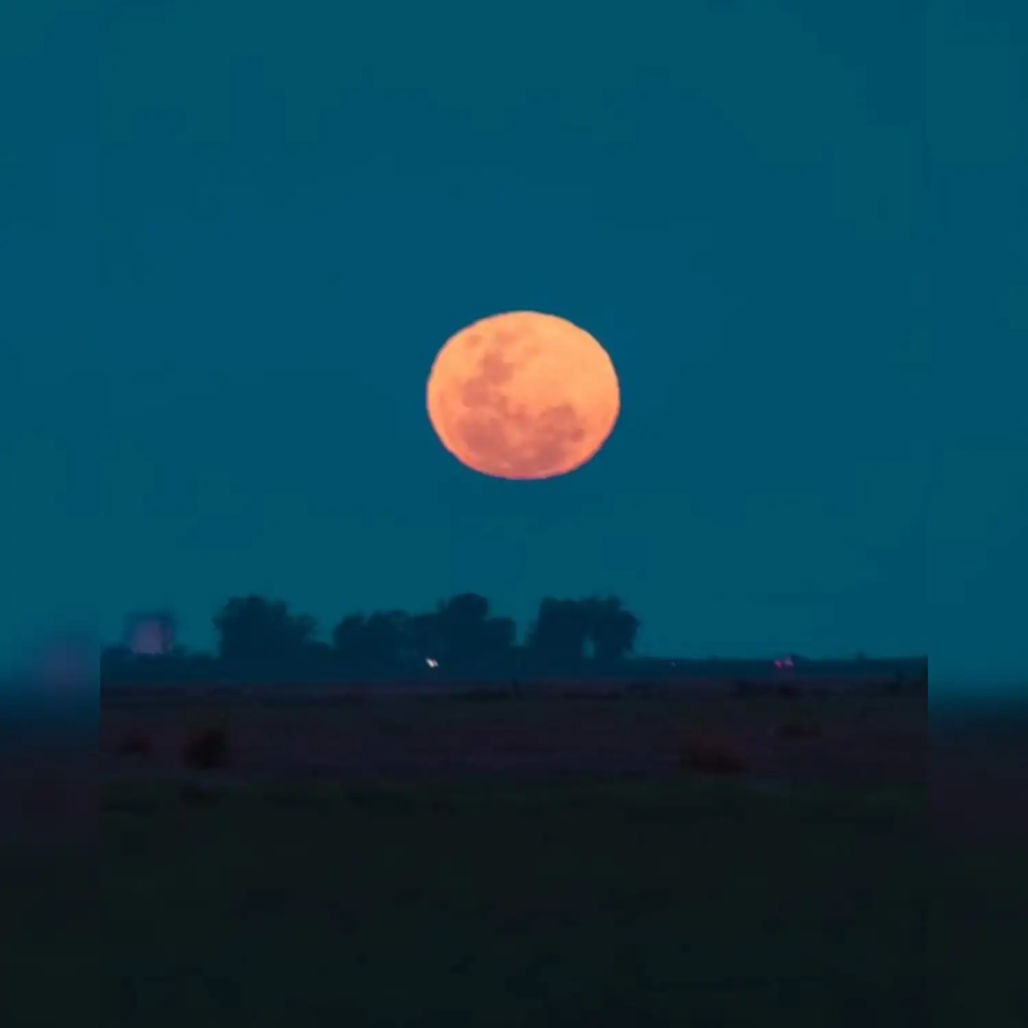 Lune llena de Gusano - 1