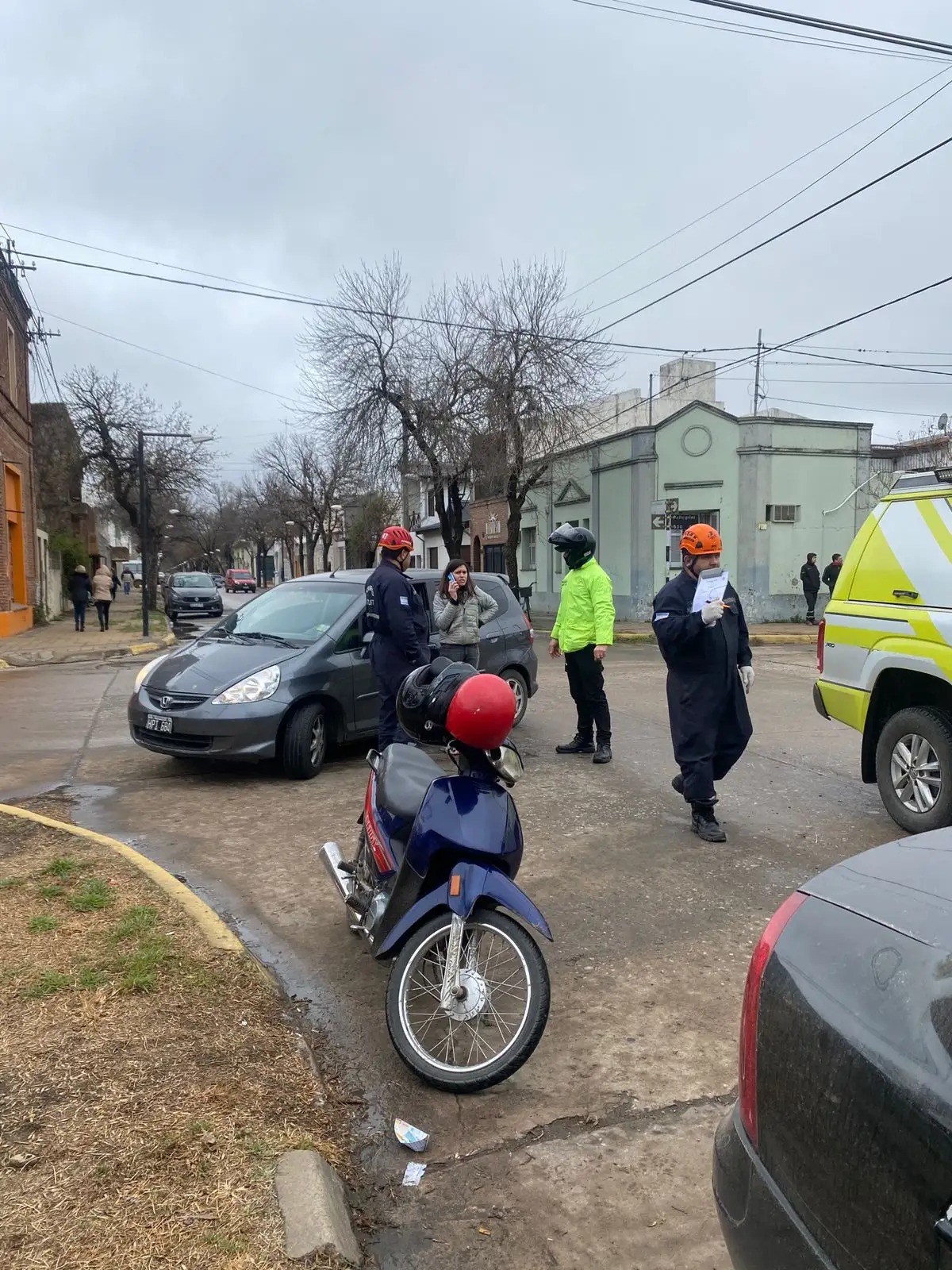 accidente venado - 1