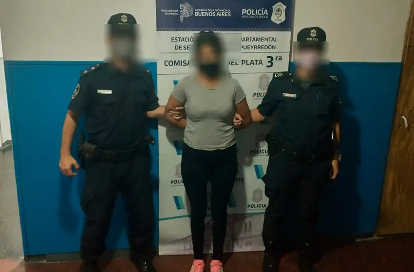 Hermanos especialistas en entraderas: rompieron la puerta y se llevaron un TV