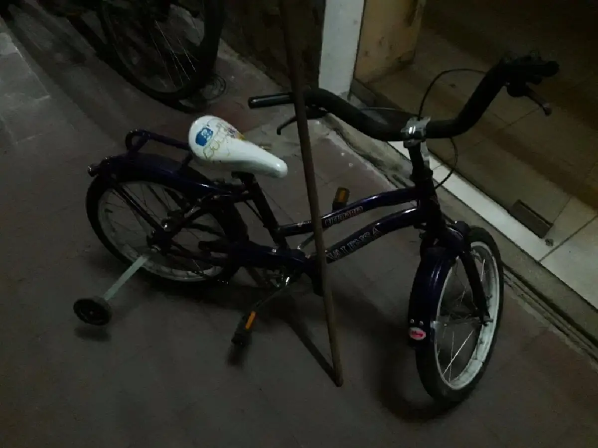 Detuvieron a un menor que robó una bicicleta 