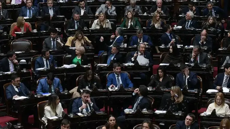 El tratamiento se dio en el marco de una jornada legislativa extensa, en la que el oficialismo también logró aprobar la denominada Ley Hojarasca.