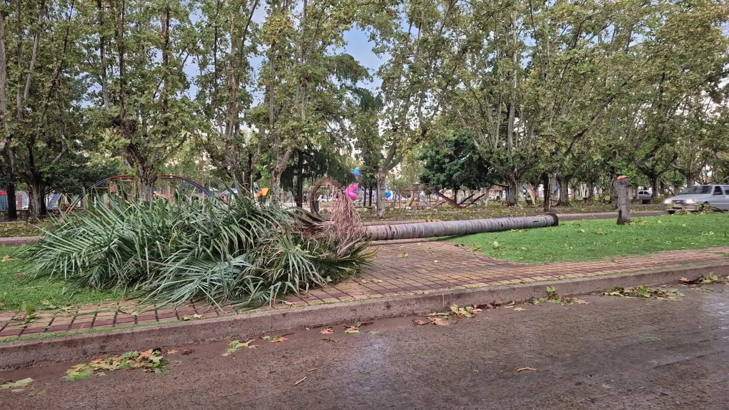 Casilda temporal - 6