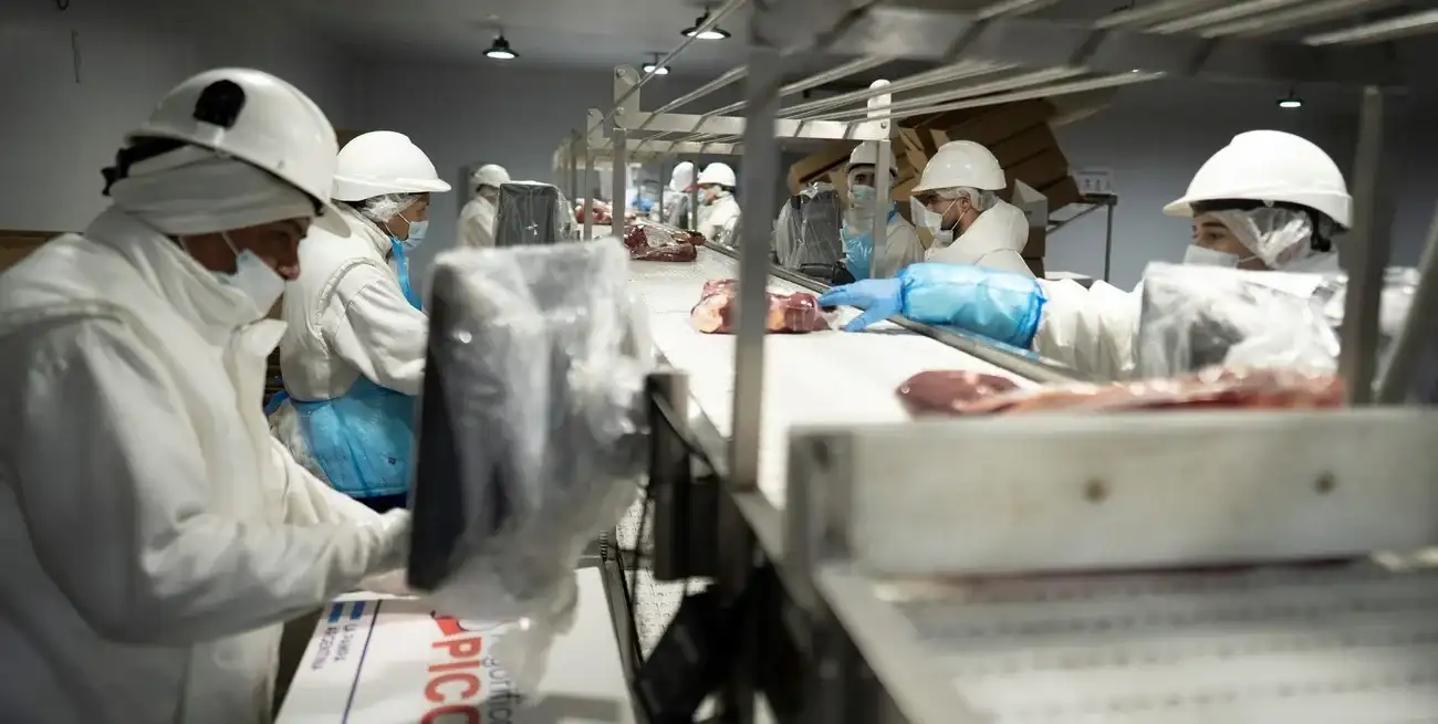 Estrictas medidas sanitarias requiere el proceso de exportación. (Xinhua/Martín Zabala)