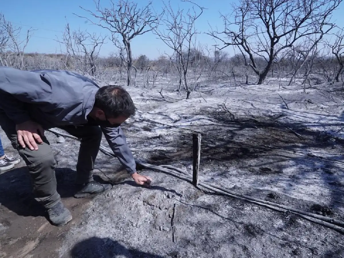 Incendios: Cabandié apuntó a la "especulación inmobiliaria" y a "métodos agropecuarios"