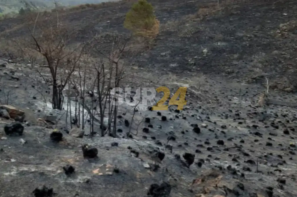 Chubut: declaran la emergencia agropecuaria