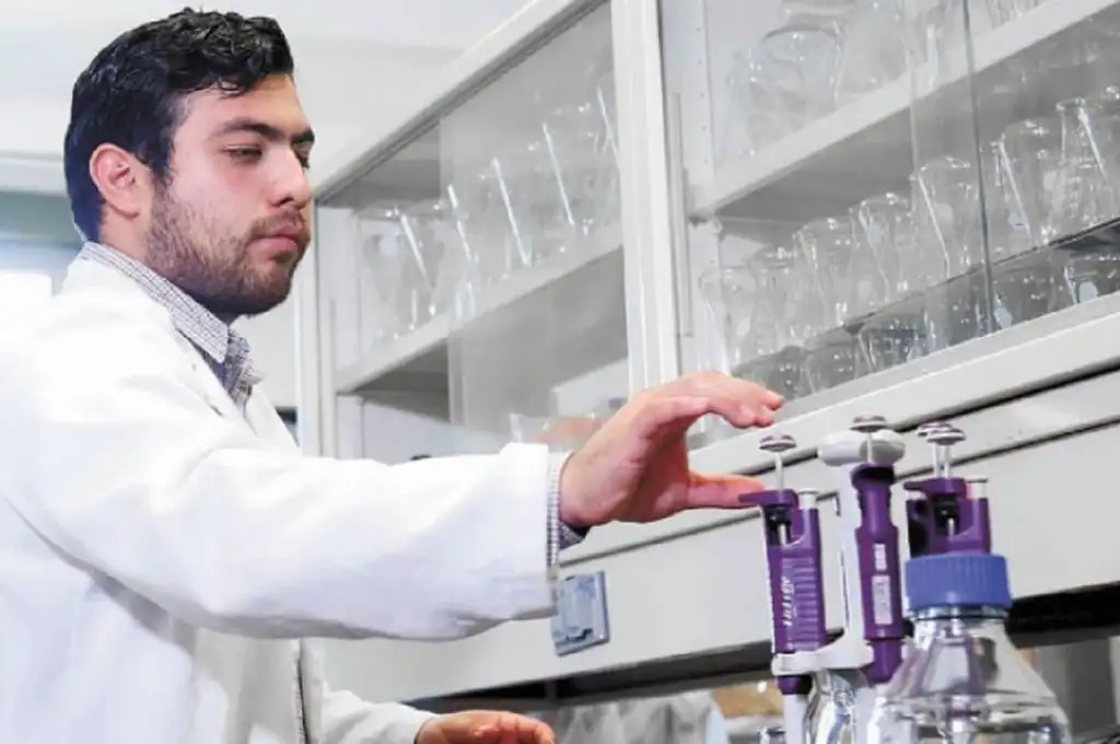Una vacuna “comestible” contra el cólera completó la Fase 1 en humanos