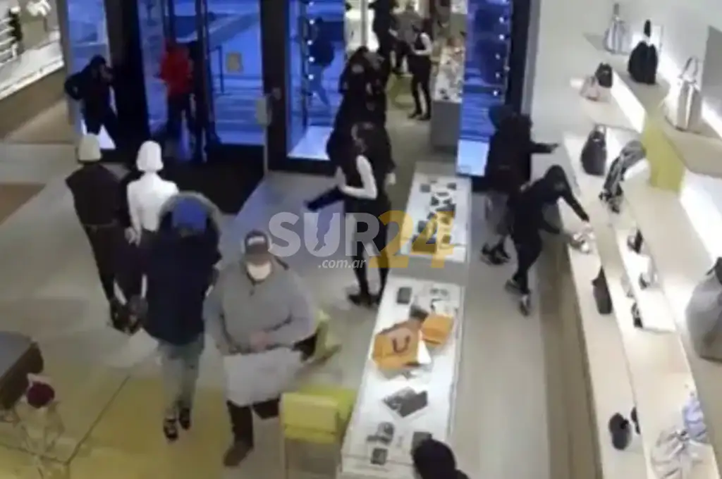Catorce ladrones robaron productos Louis Vuitton valuados en 100 mil dólares