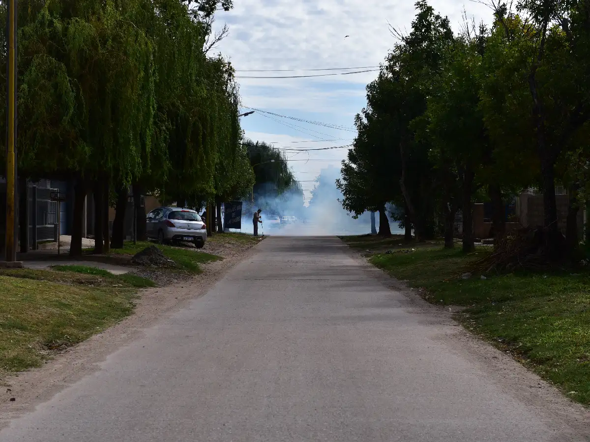 El dengue sigue en aumento  pero aseguran que los contagios  comenzarán a descender 