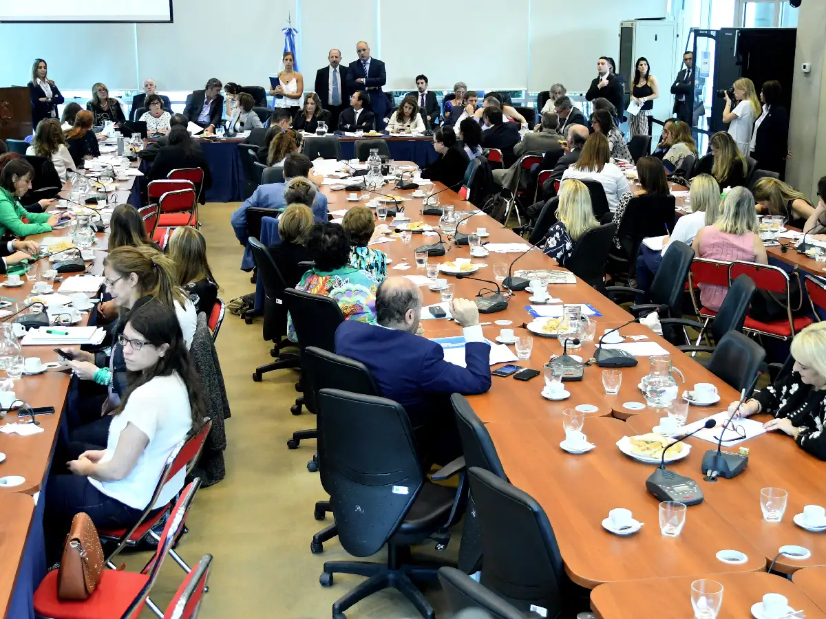 Despenalización del aborto: terminó la primera audiencia
