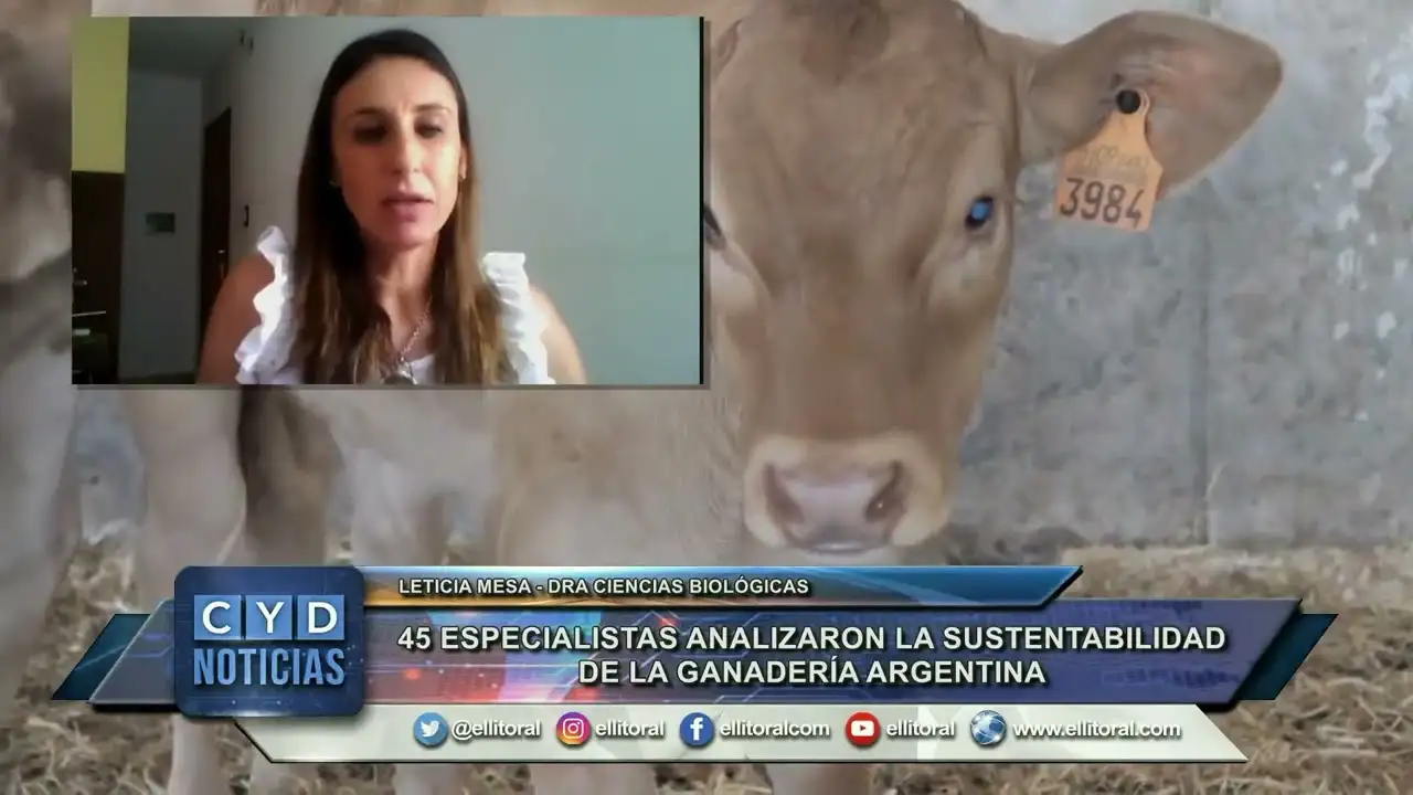 Ganadería: estrategias para mitigar el impacto ambiental