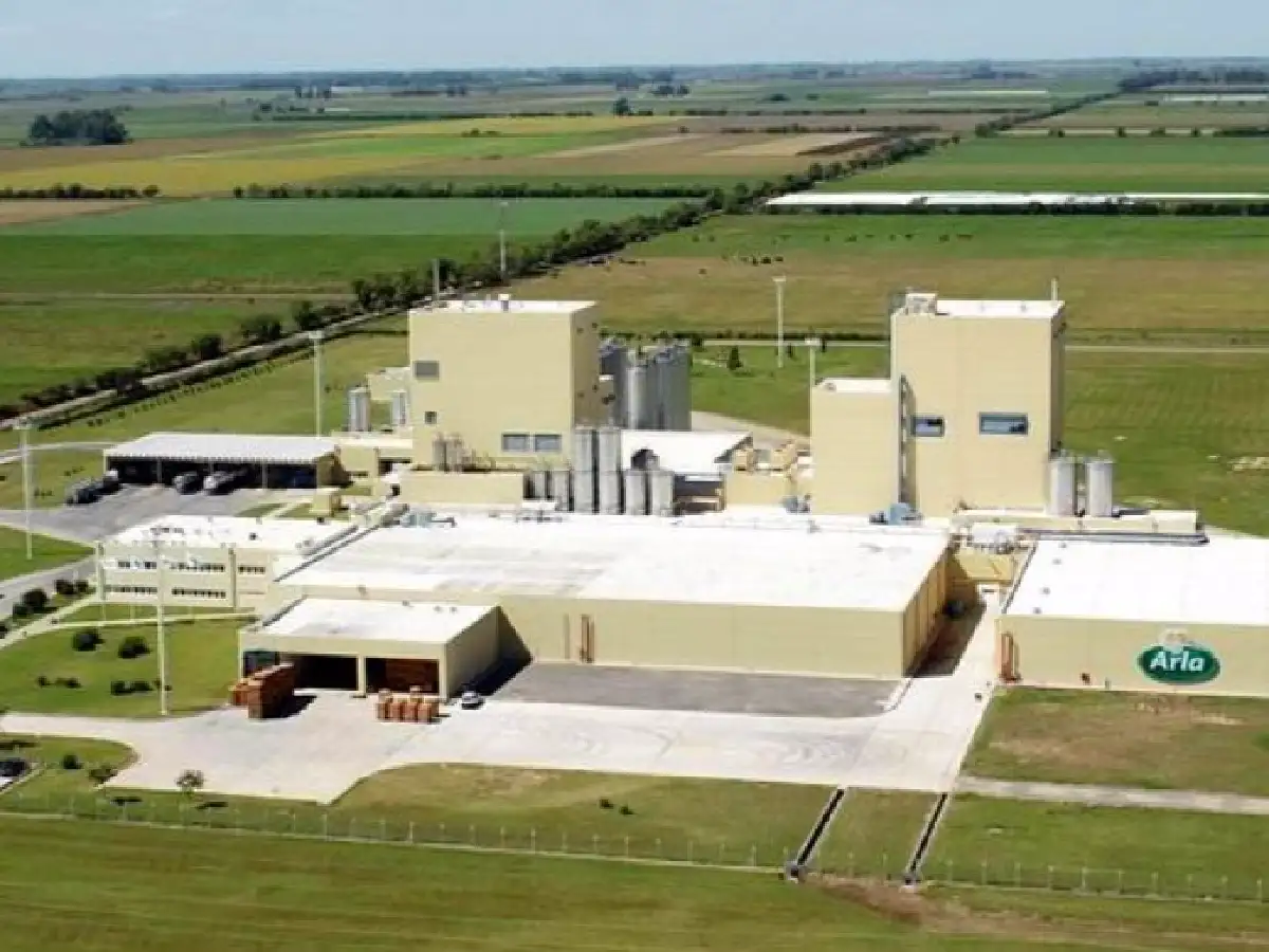 Sancor vende su negocio con Arla Foods para buscar financiamiento 