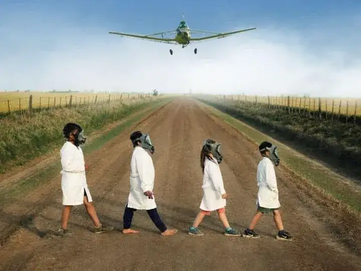 La gráfica de la película.