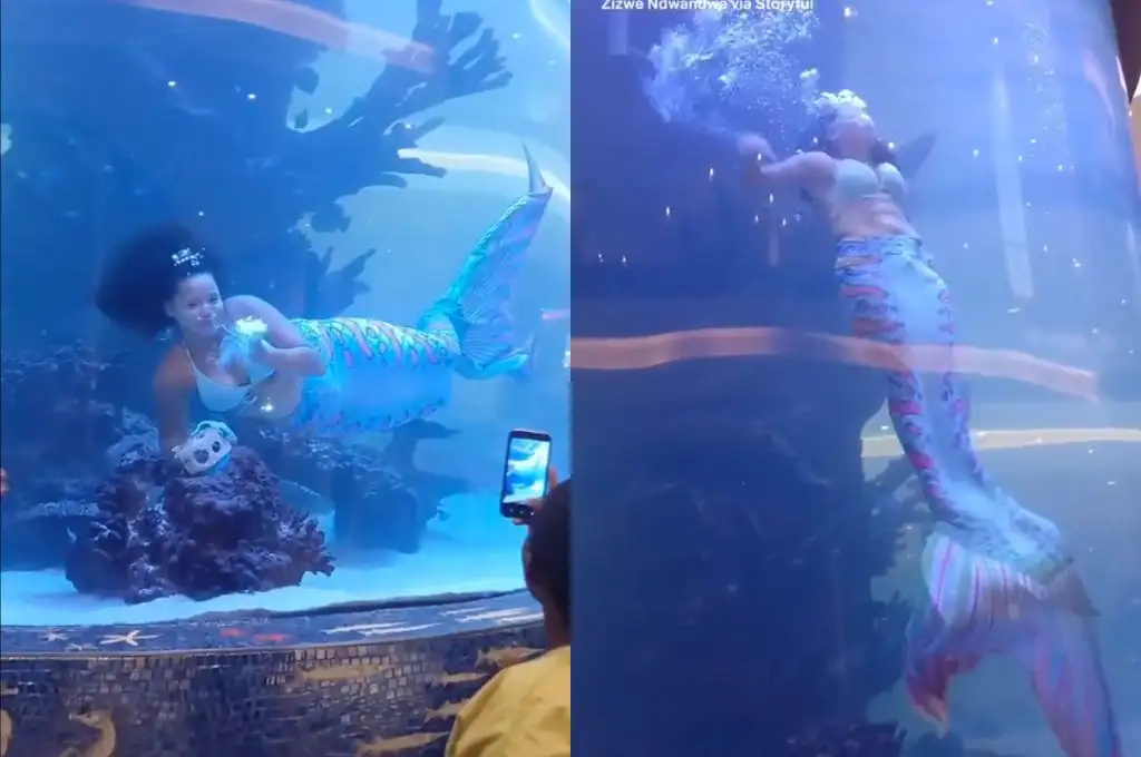 Sirena