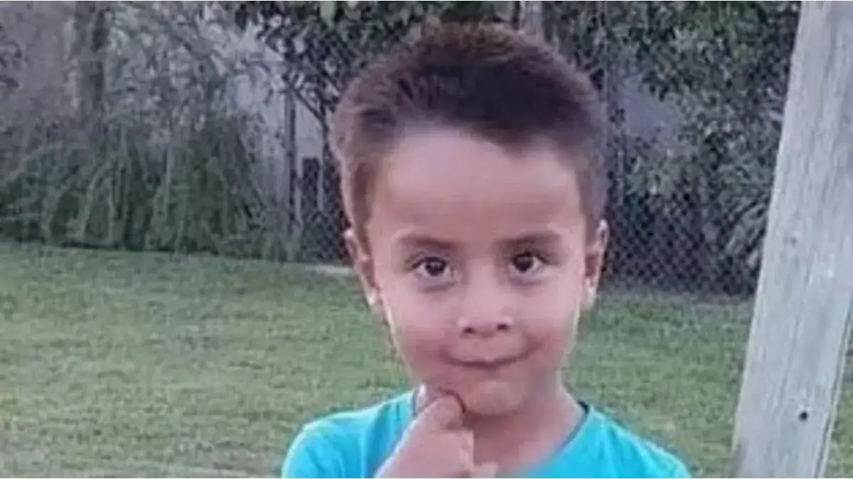 Qué contaron los chicos que estaban con el pequeño al momento de perderlo de vista.
