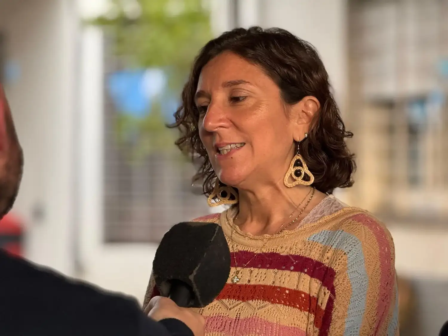 Leticia Di Gregorio: "El nuevo tendido eléctrico de la ruta 14 ya superó el 86% de avance"
