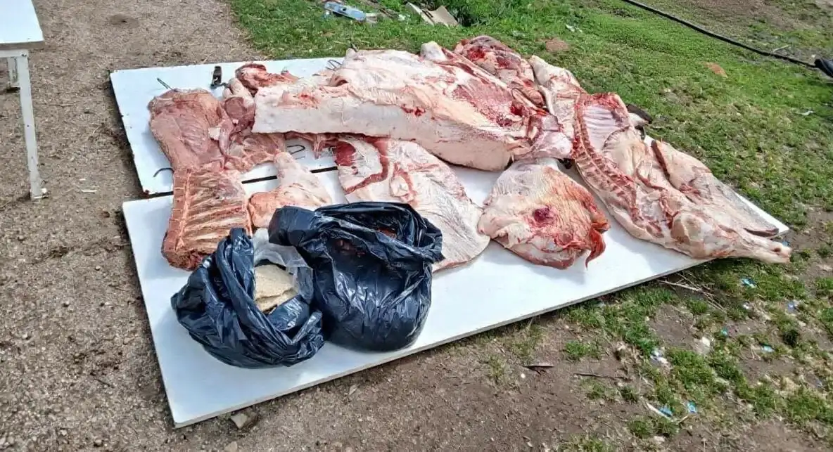 carne decomisada