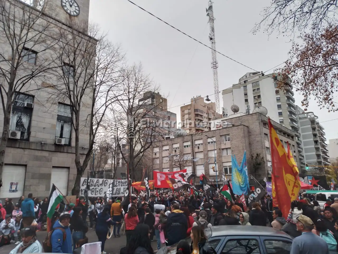 marcha ley bases