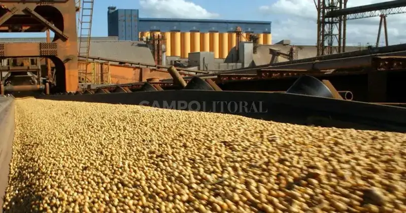 La industria aceitera de soja atraviesa su “peor momento”
