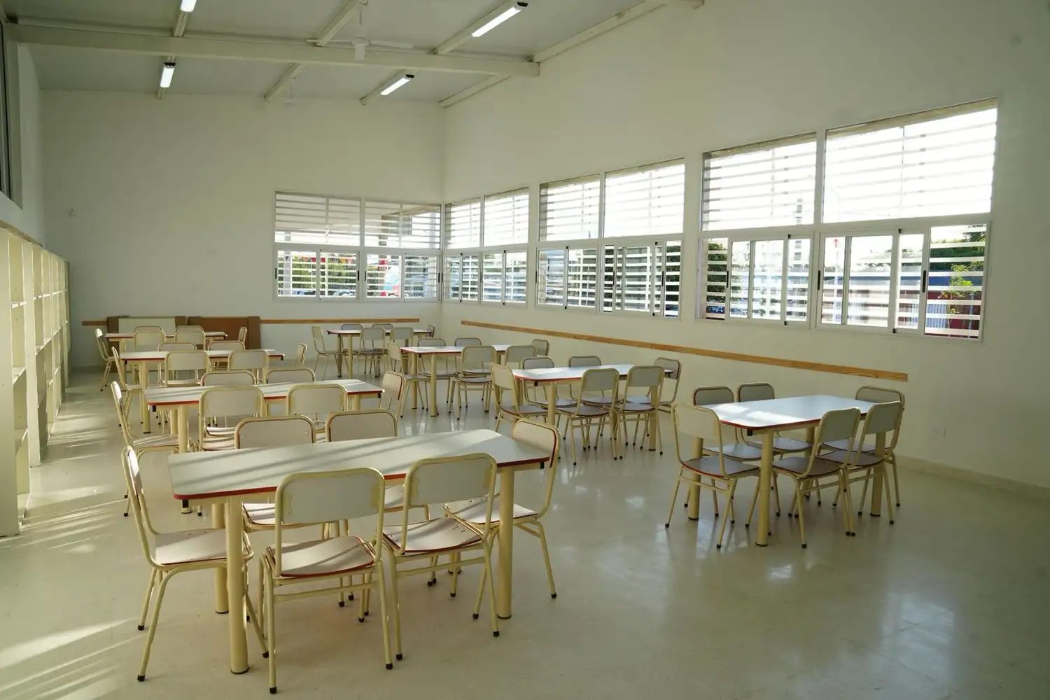 Escuela Tortugas