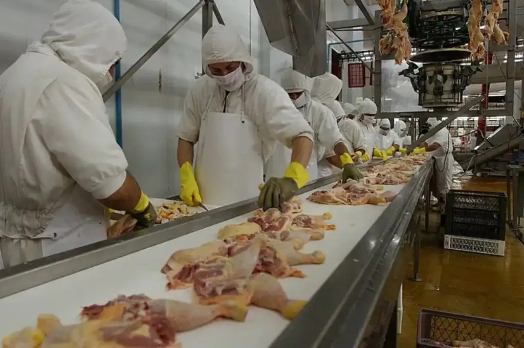 El consumo de pollo alcanzó casi los 50 kilos por habitante al año en Argentina.