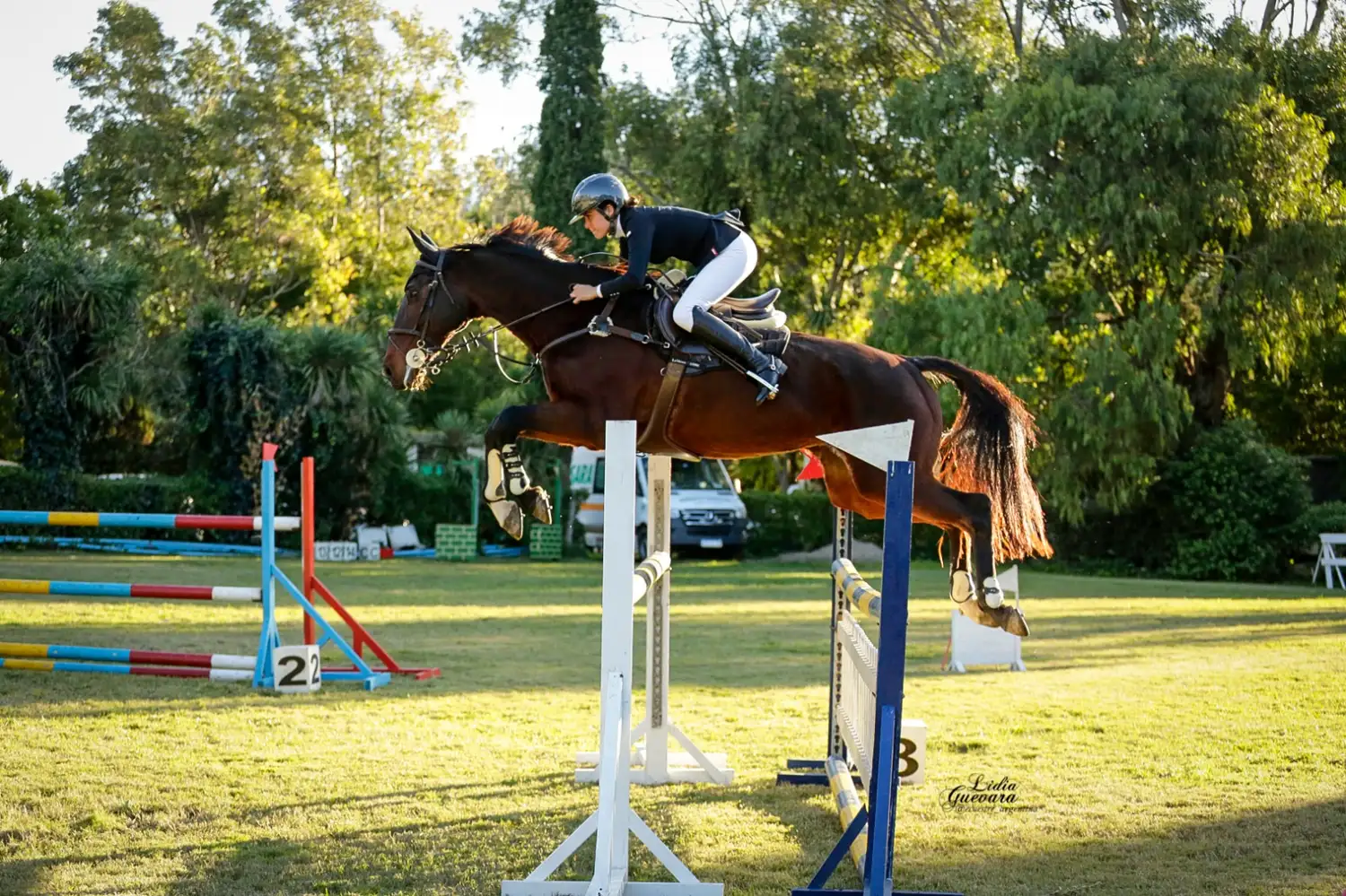 El Club Ecuestre Mar del Plata recibió una etapa del Federal de Salto Hípico