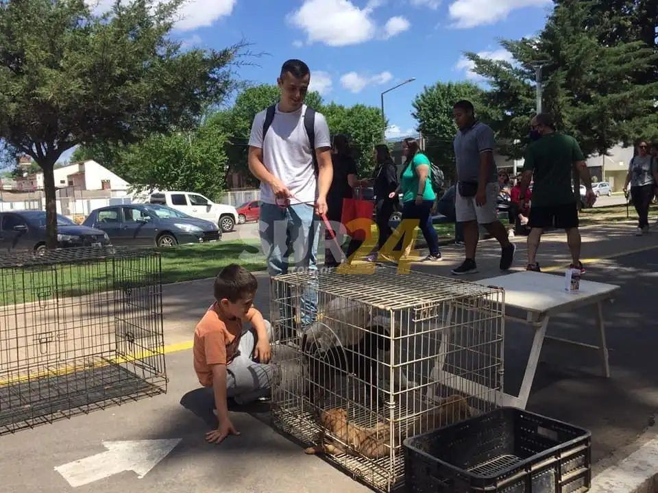 Jornada de adopción de animales abandonados en el encuentro ferial “Venite al Parque”