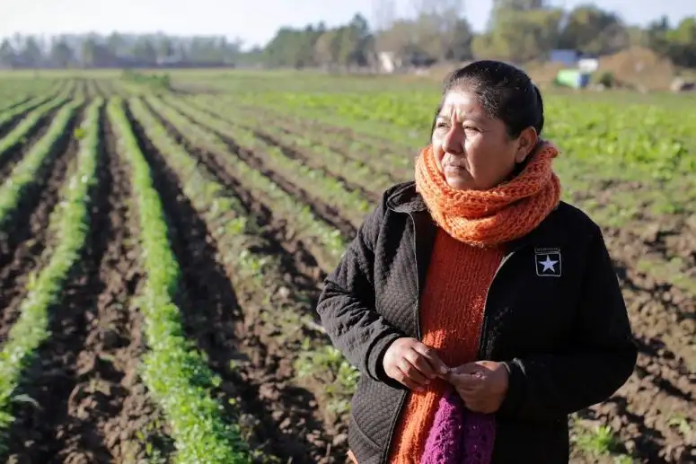 Alimentos naturales y a precio justo: así funciona el Mercado Santafesino