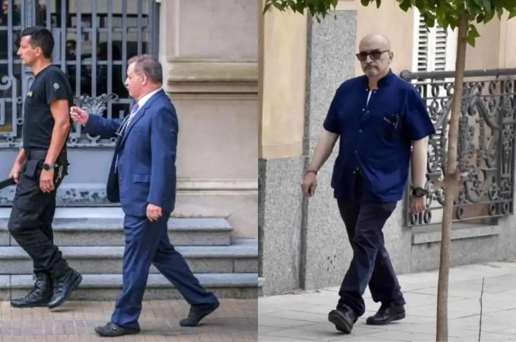 “La autopsia no explica por qué murió Fernando Báez Sosa”, dijo uno de los peritos de la defensa