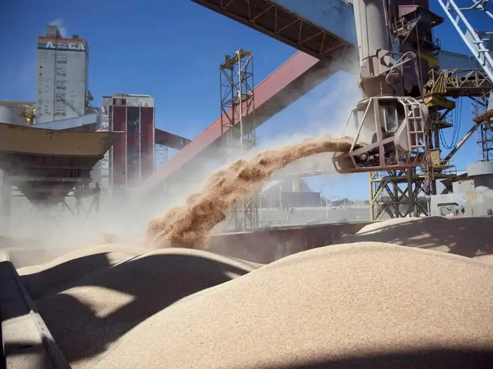 El ingreso de divisas es el resultado del ritmo de ventas de granos de parte del productor.