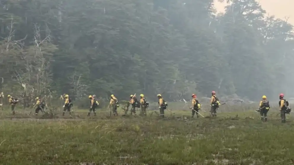 Brigadistas siguen combatiendo el incendio forestal