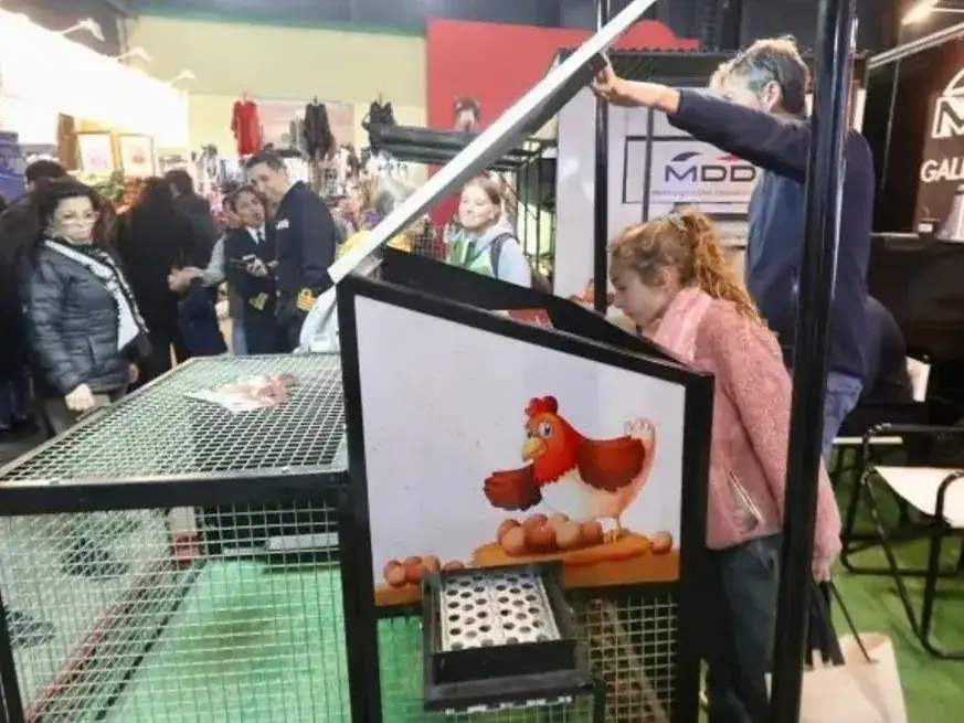 Se trata de un gallinero móvil, la solución ideal para quienes desean criar gallinas en casa y disfrutar de huevos frescos.
