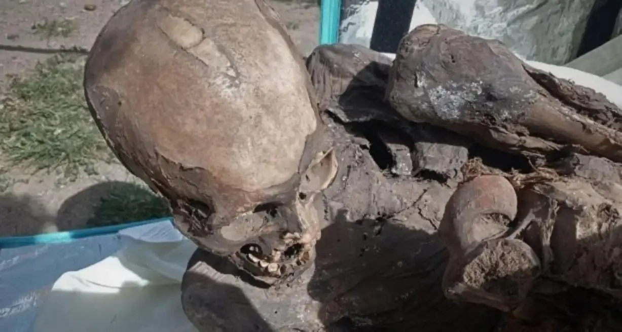 Paseaba una momia de 800 años en una mochila de delivery