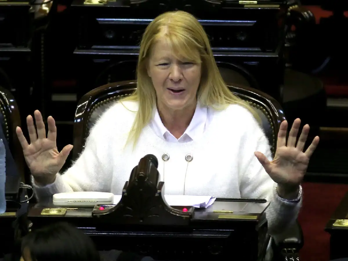 Stolbizer puso en duda "las capacidades" de los funcionarios 