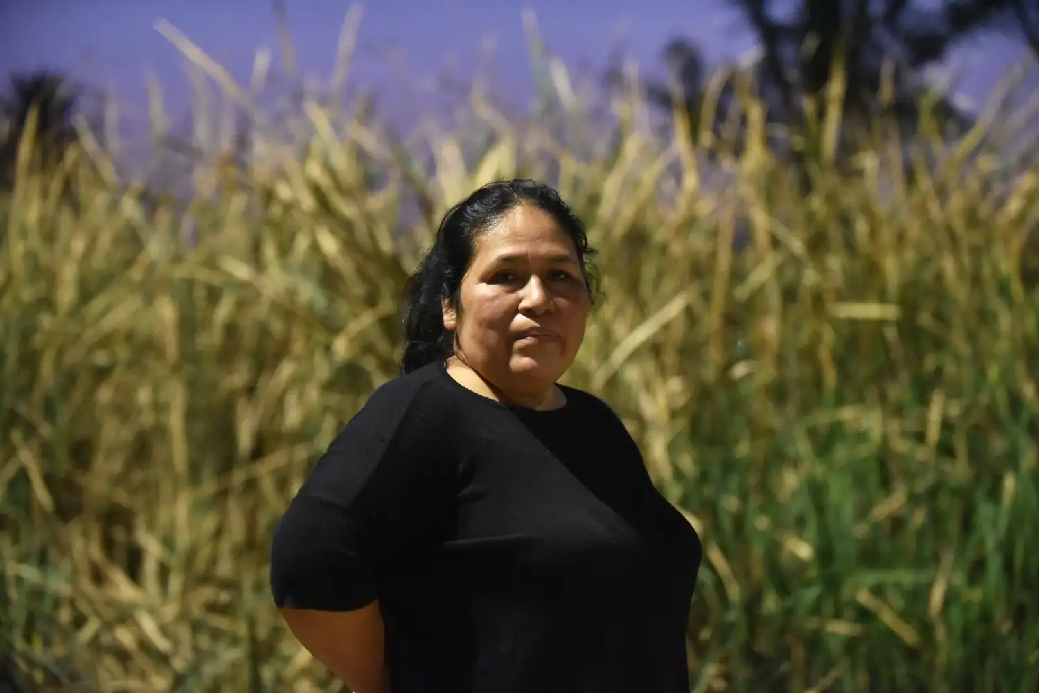 La historia de Royli es la historia de miles de inmigrantes que llegaron a nuestro país buscando un futuro.