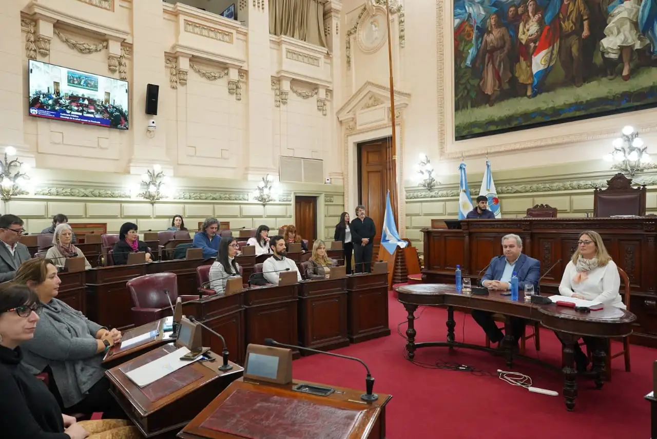 La salud mental en tiempos de pandemia, tema de debate y análisis en Diputados