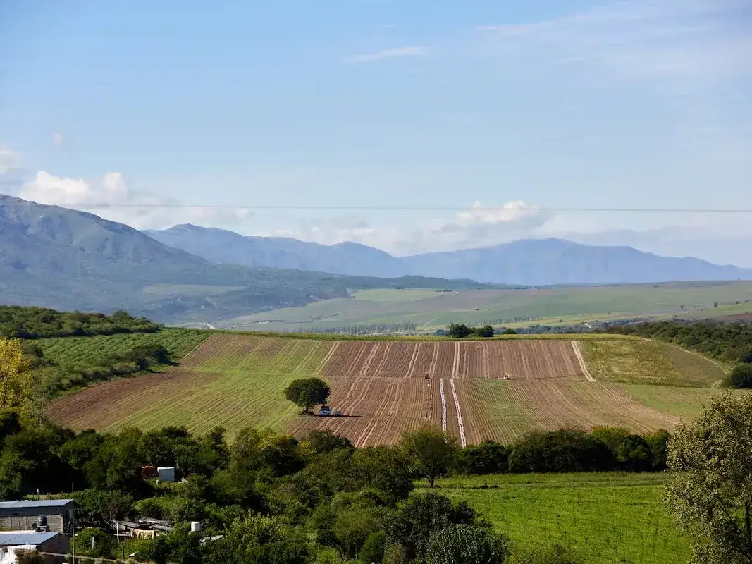 El debate sobre la compra de tierras por extranjeros pone el foco en la regulación y el uso productivo de los suelos en Argentina.