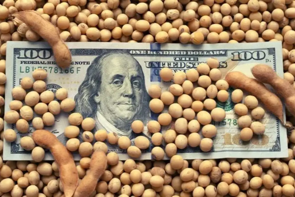 Dólar soja: concluyó con una comercialización de más de 4,5 millones de toneladas