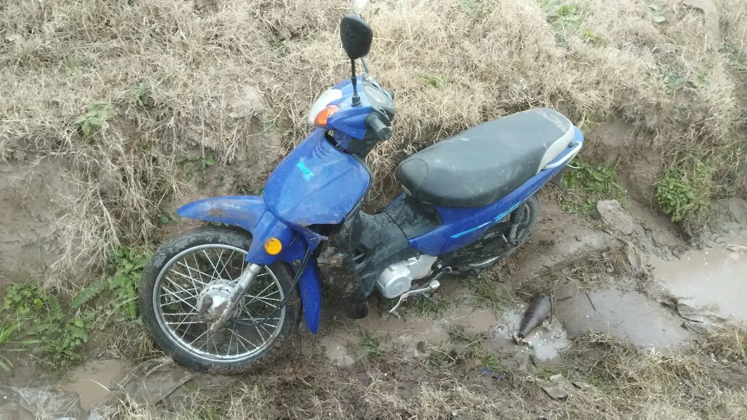 Accidente Venado