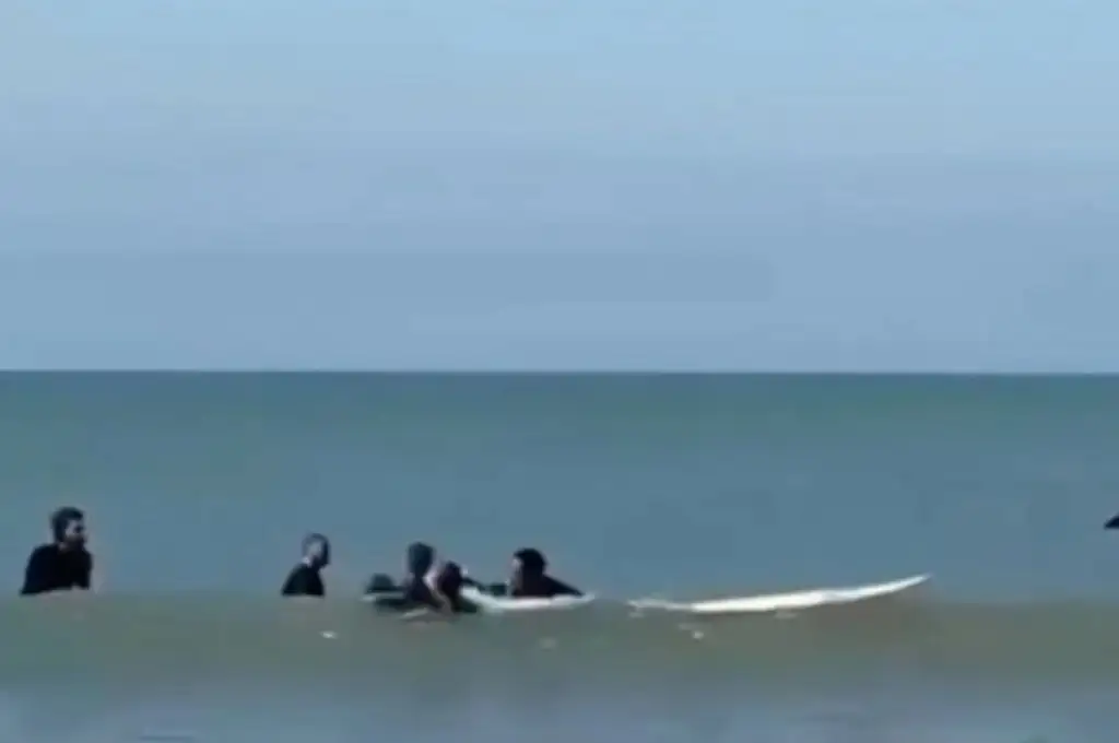Surfista