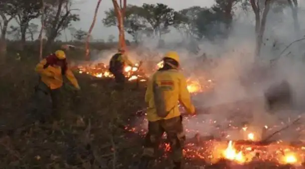 Bolivia: declaran desastre regional por incendios de magnitud