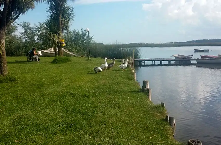Miramar: quisieron hacer el cuento del tío pero les salió mal