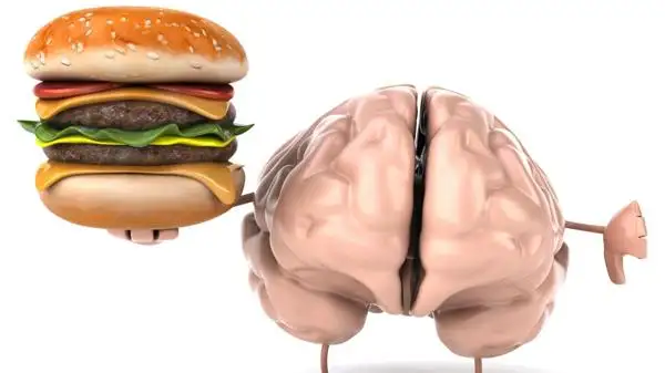 ¿Puede la comida chatarra causar daño cerebral?