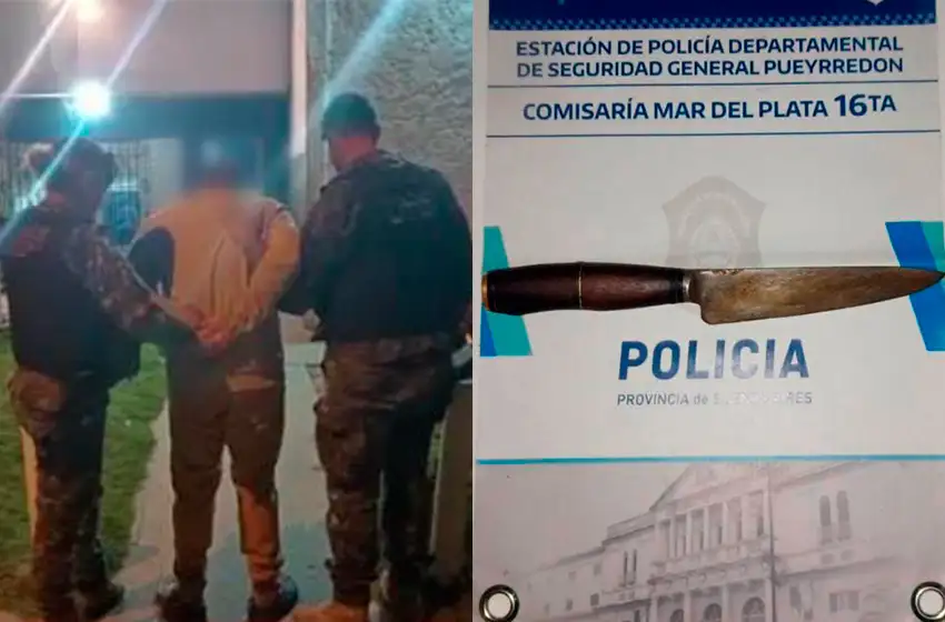 La violencia que no para: atacó a su hermana que debió ser atendida en el HIGA