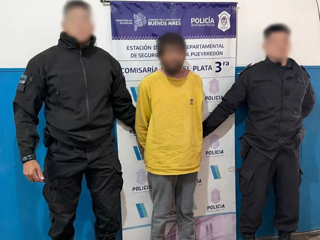 Quiso manotear un celular en un local y terminó detenido
